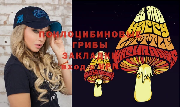 прущая мука Верхний Тагил