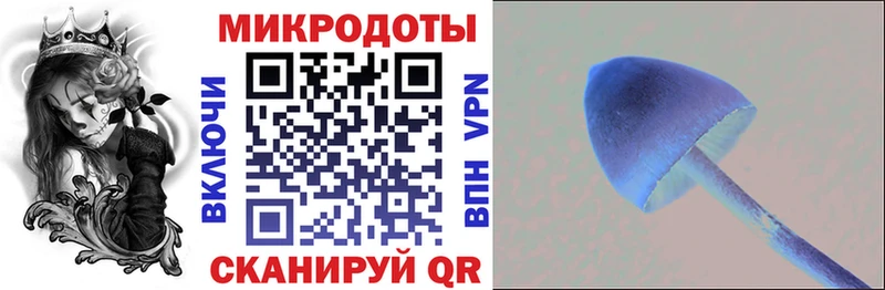 нарко площадка наркотические препараты  Мончегорск  Псилоцибиновые грибы мицелий 