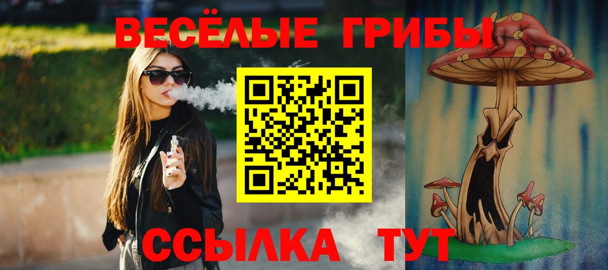 Псилоцибиновые грибы мицелий  Вход с VPN  Мончегорск  Псилоцибиновые грибы Psilocybine cubensis 